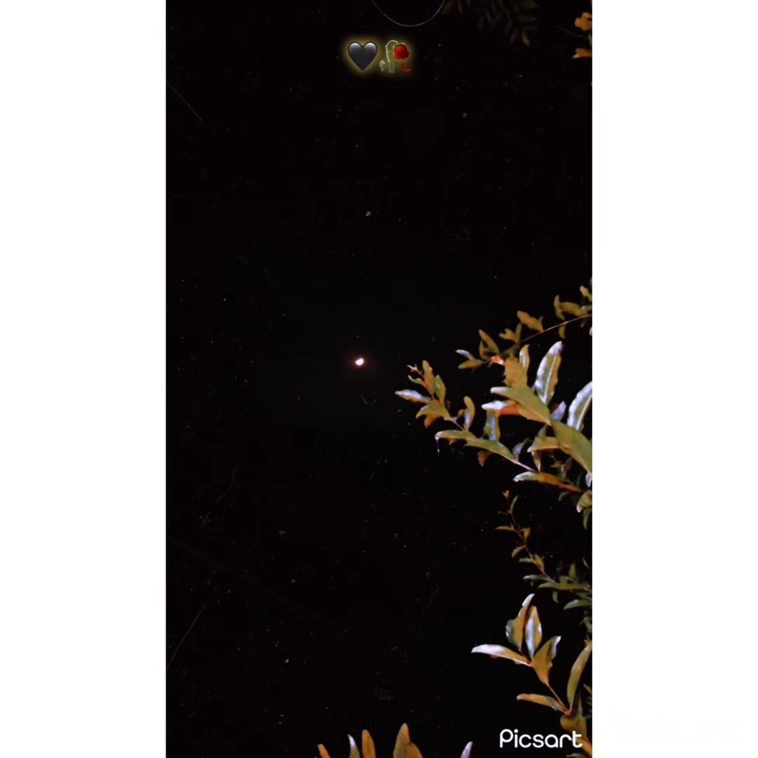 @𝐓𝐇𝐄𝐖 &bull;̀ᴗ&bull;́ 𓆩𝐍𝐎𝐌𝐈𓆪 🖤