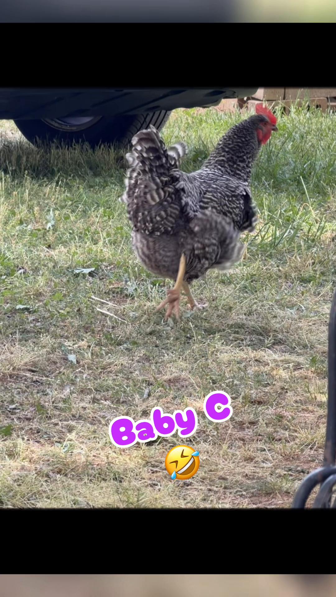 @Eggrollio