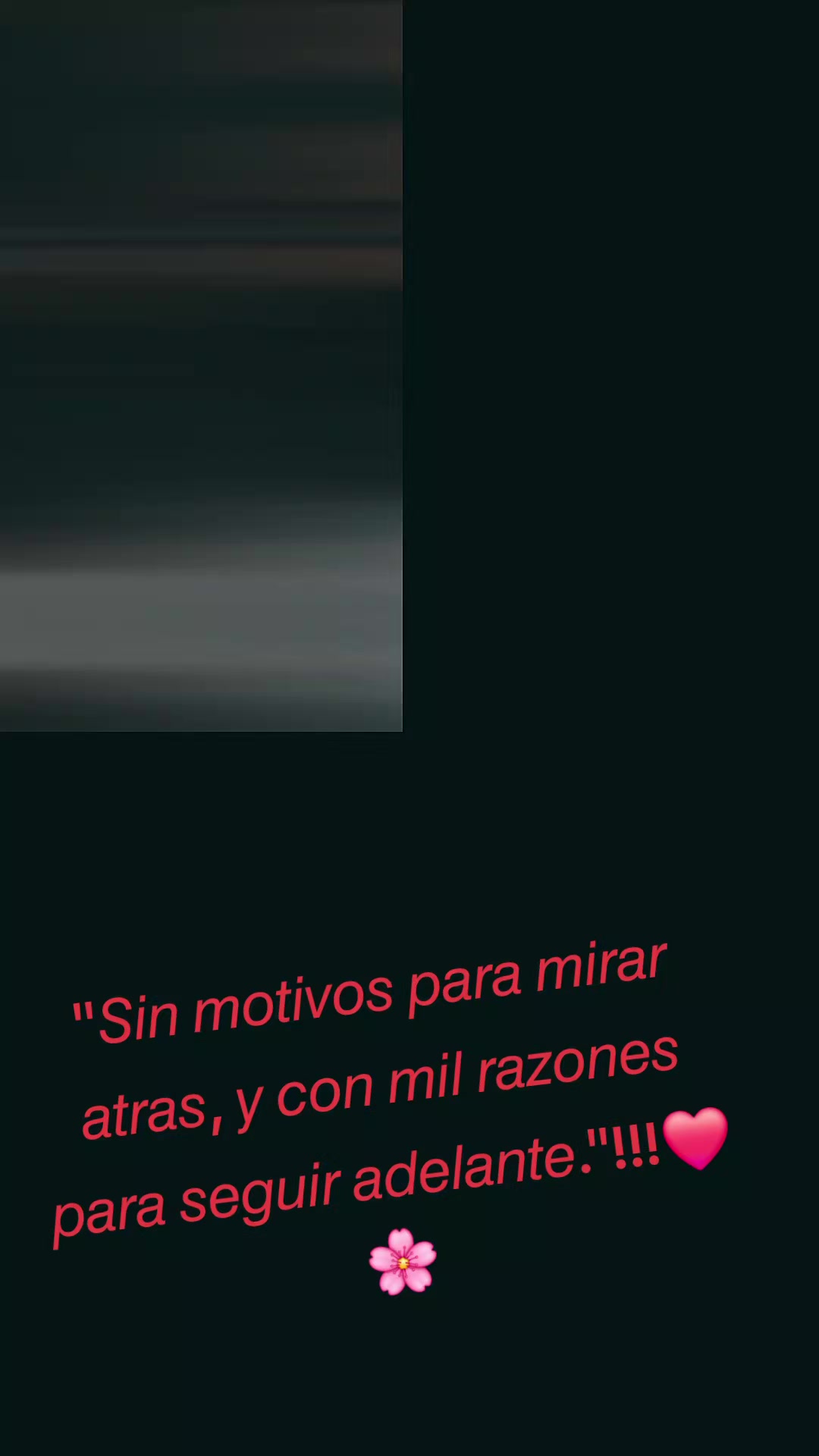 @🌻Yessabella 🌻