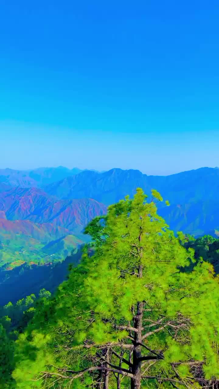 @وطن گلونہ