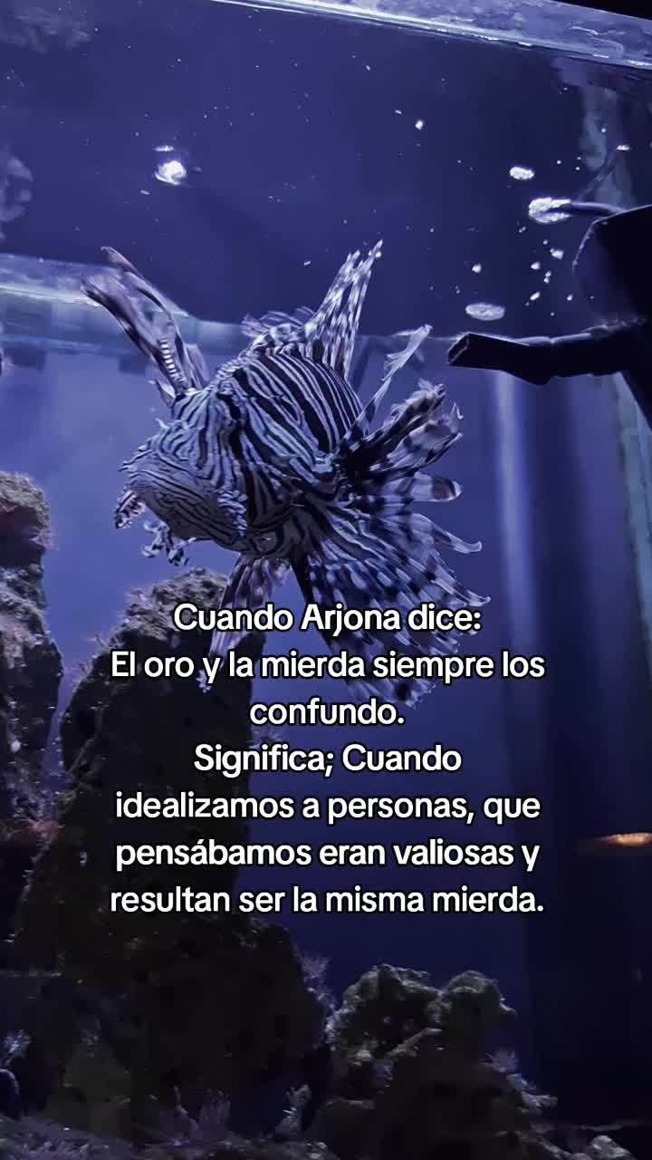 @💞🇭🇳SOLTERA FELIZ 🇪🇦❤️😈😈