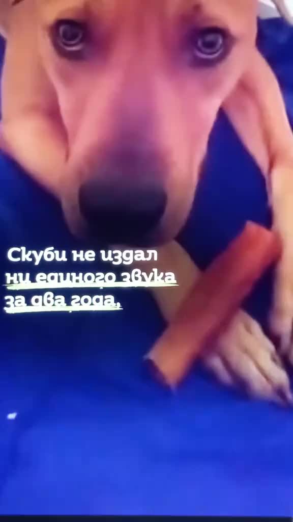 @S.М.