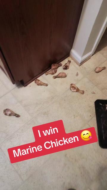 @nathanchase72