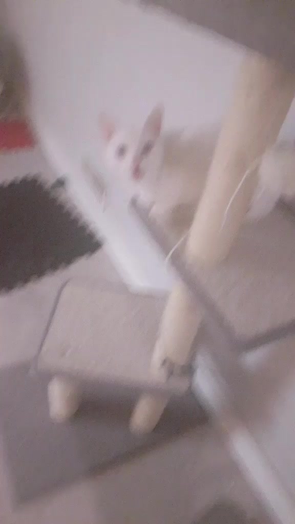 @Suki