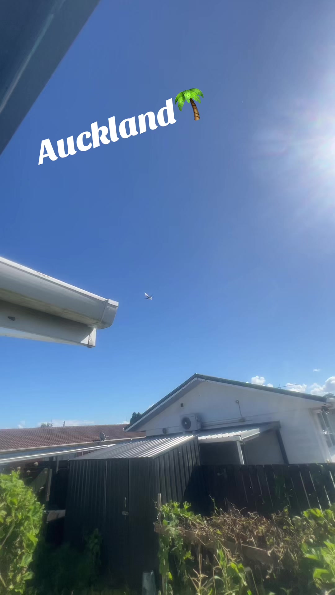 @Auckland wale