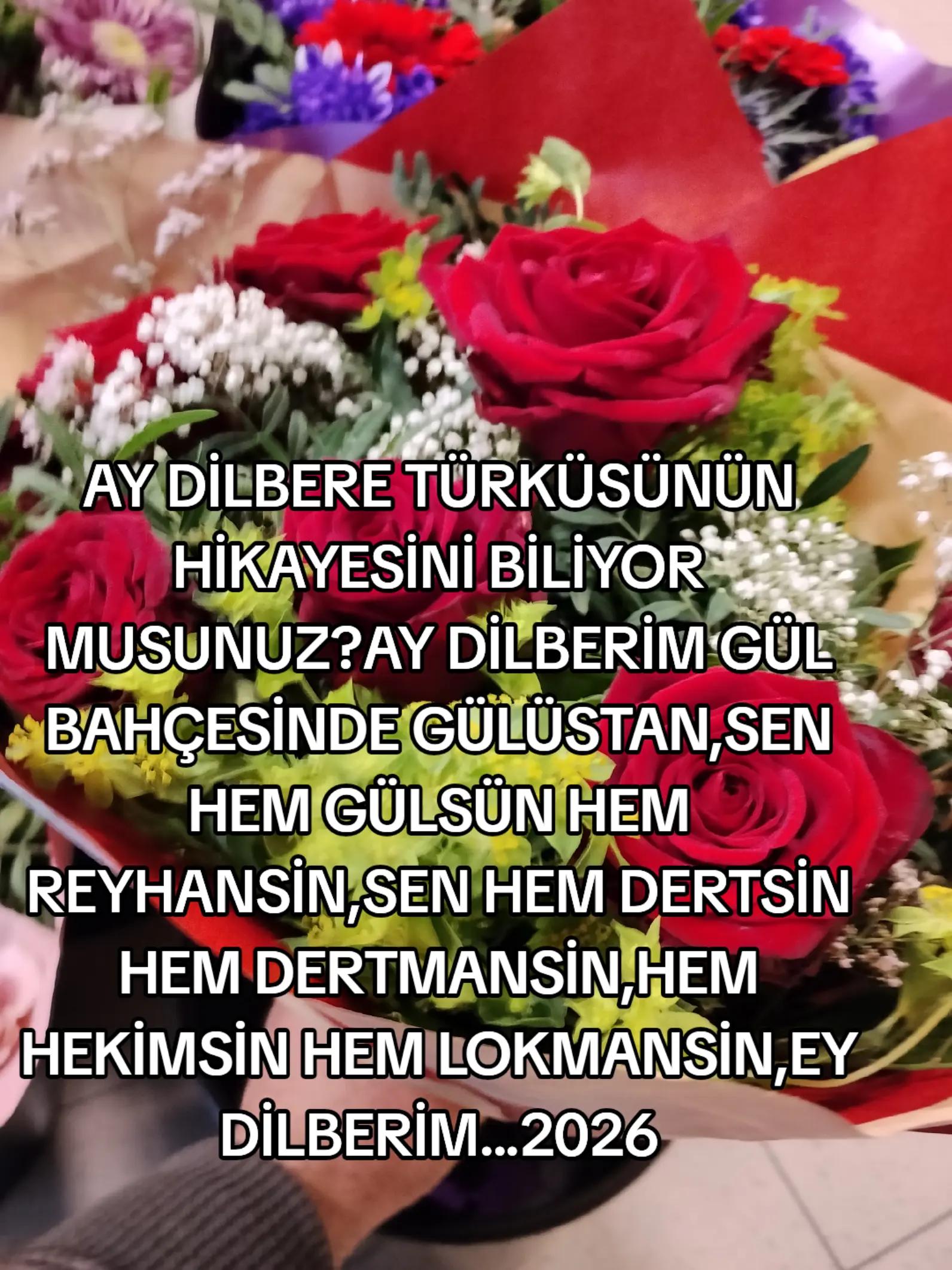 @BORDO BERELI ASLAN KRAL1