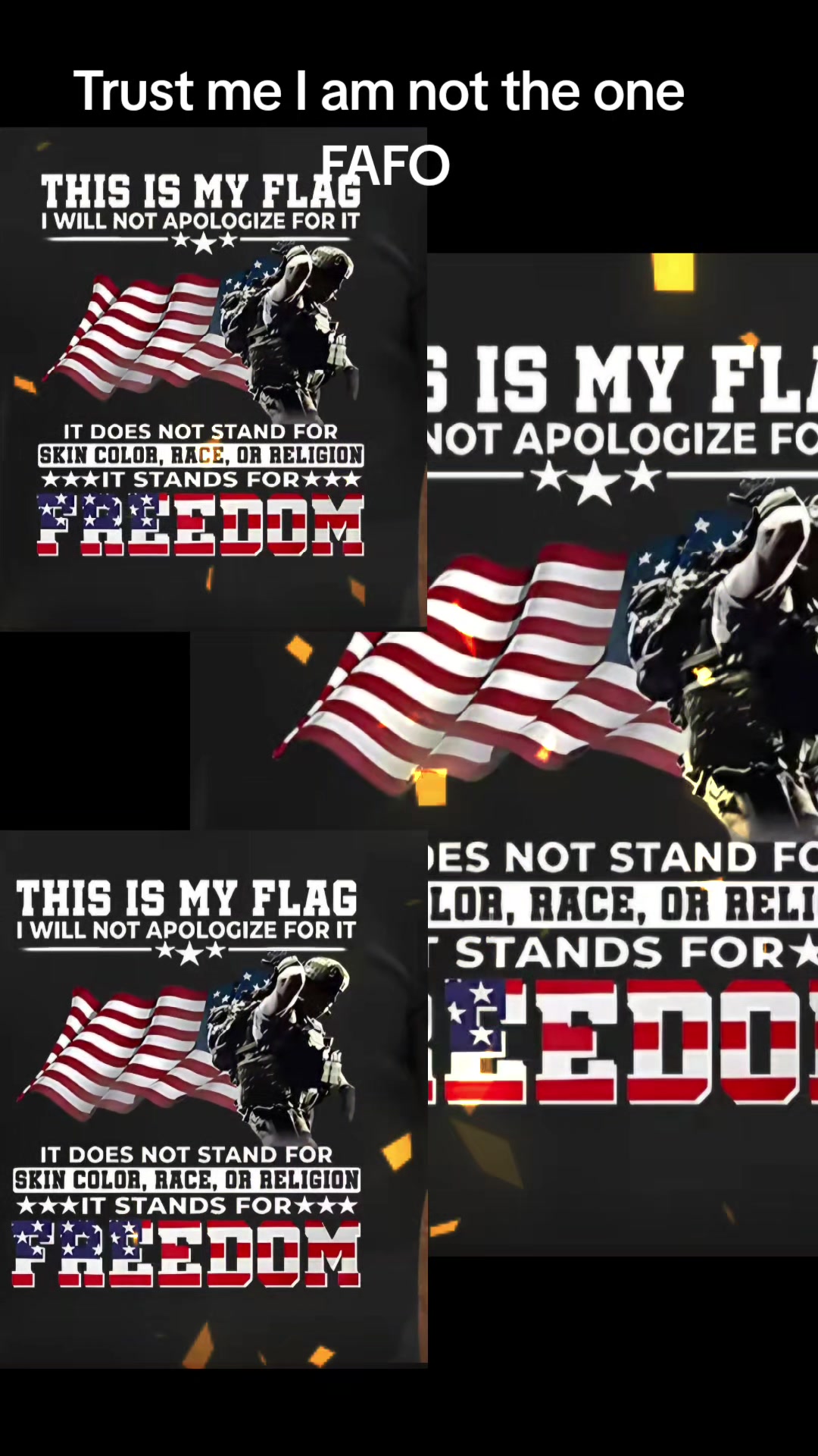 @jerry the patriot 🇺🇸