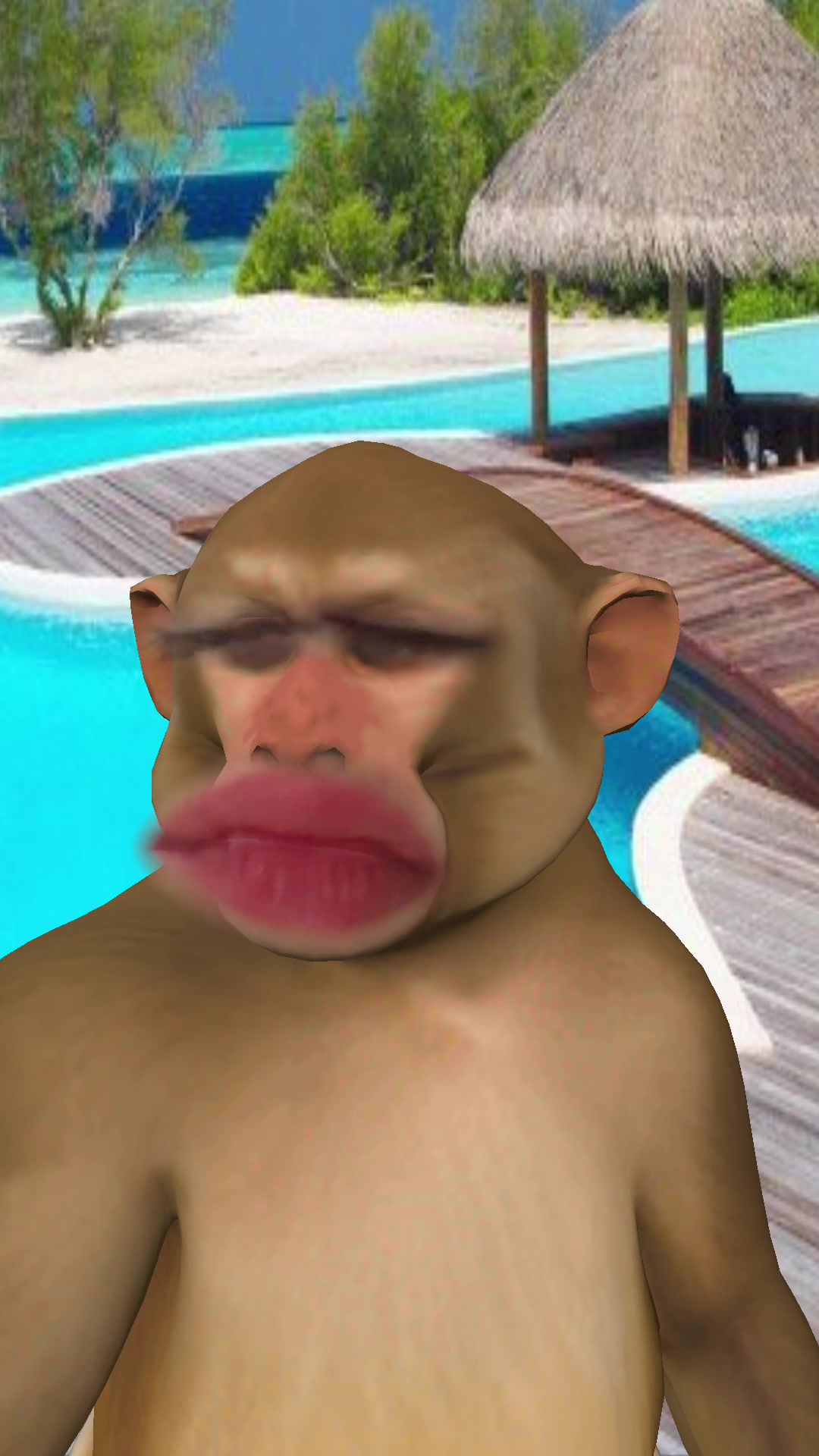 @Memermonkey