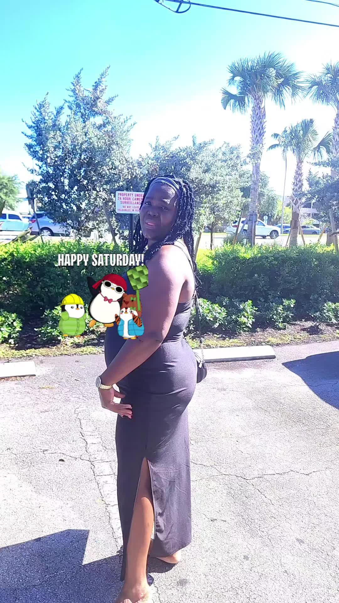 @dafneyfl@princessda