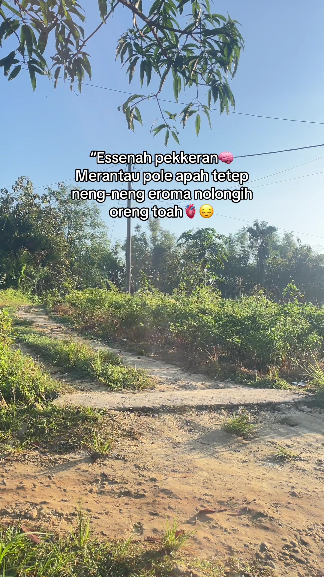 @@Fatan