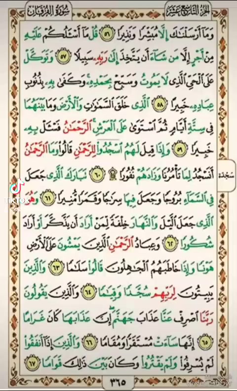 @القارئ الشيخ محمد مصطفى شلاطة