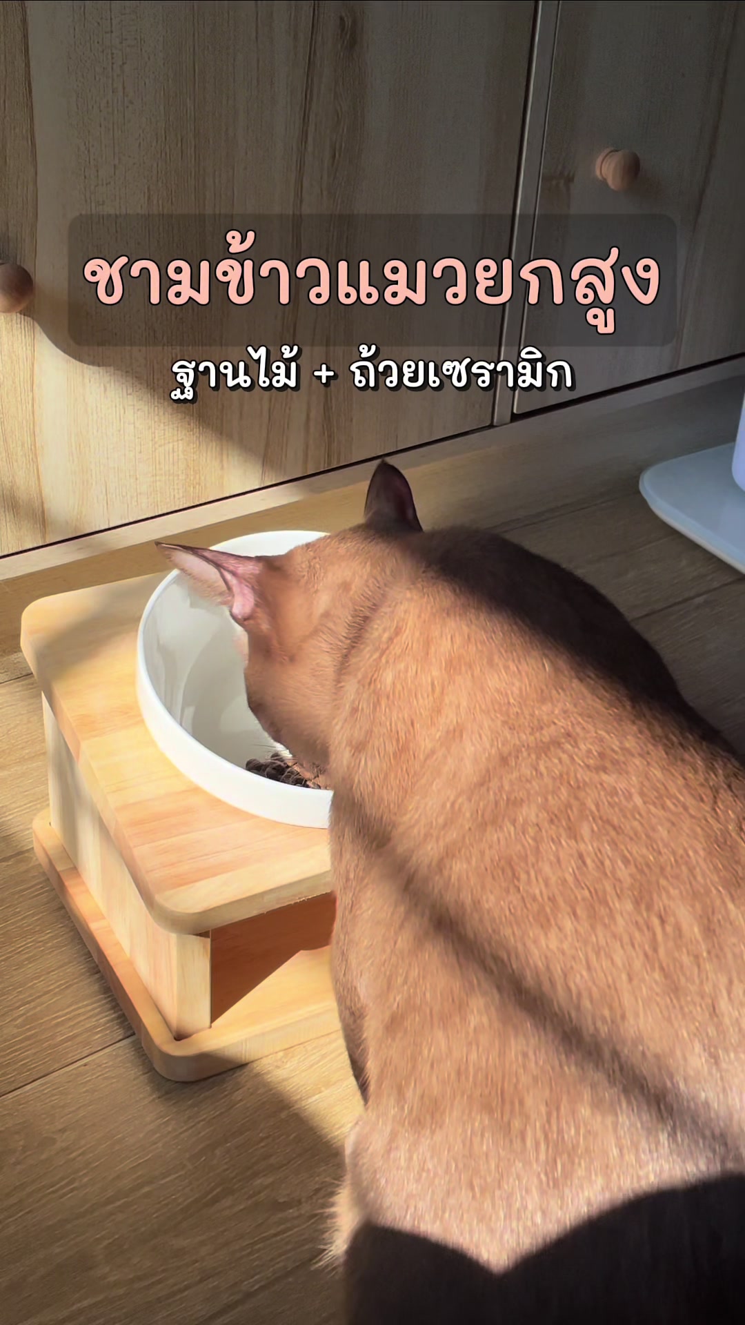 @KaoYhong