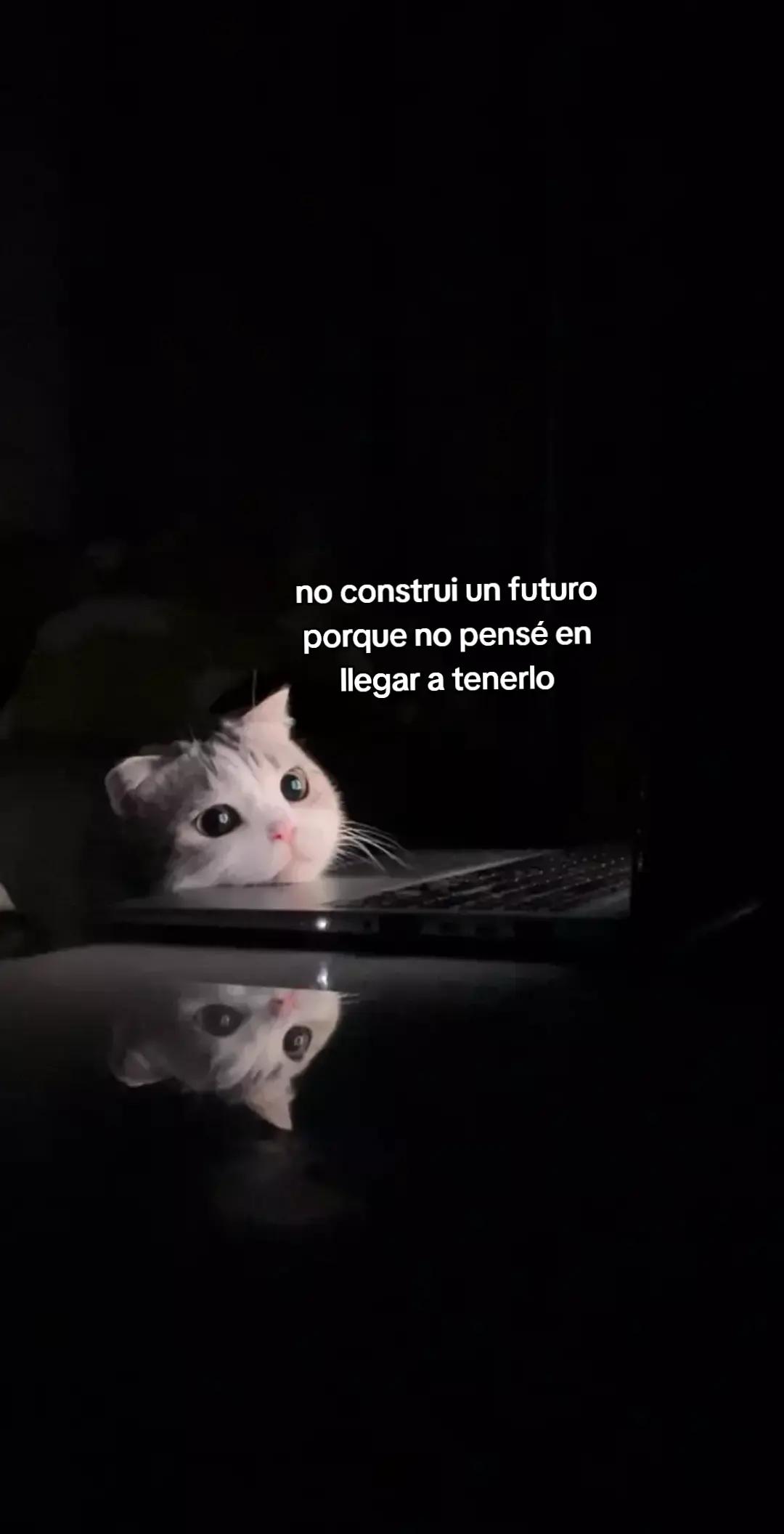 @ɪᴍᴘᴇʀꜰᴇᴄᴛᴏᴳᵀ࣪
