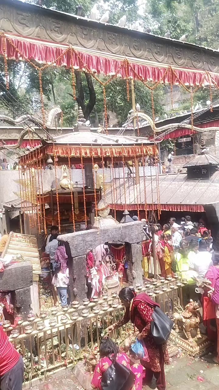 @Hira Shrestha