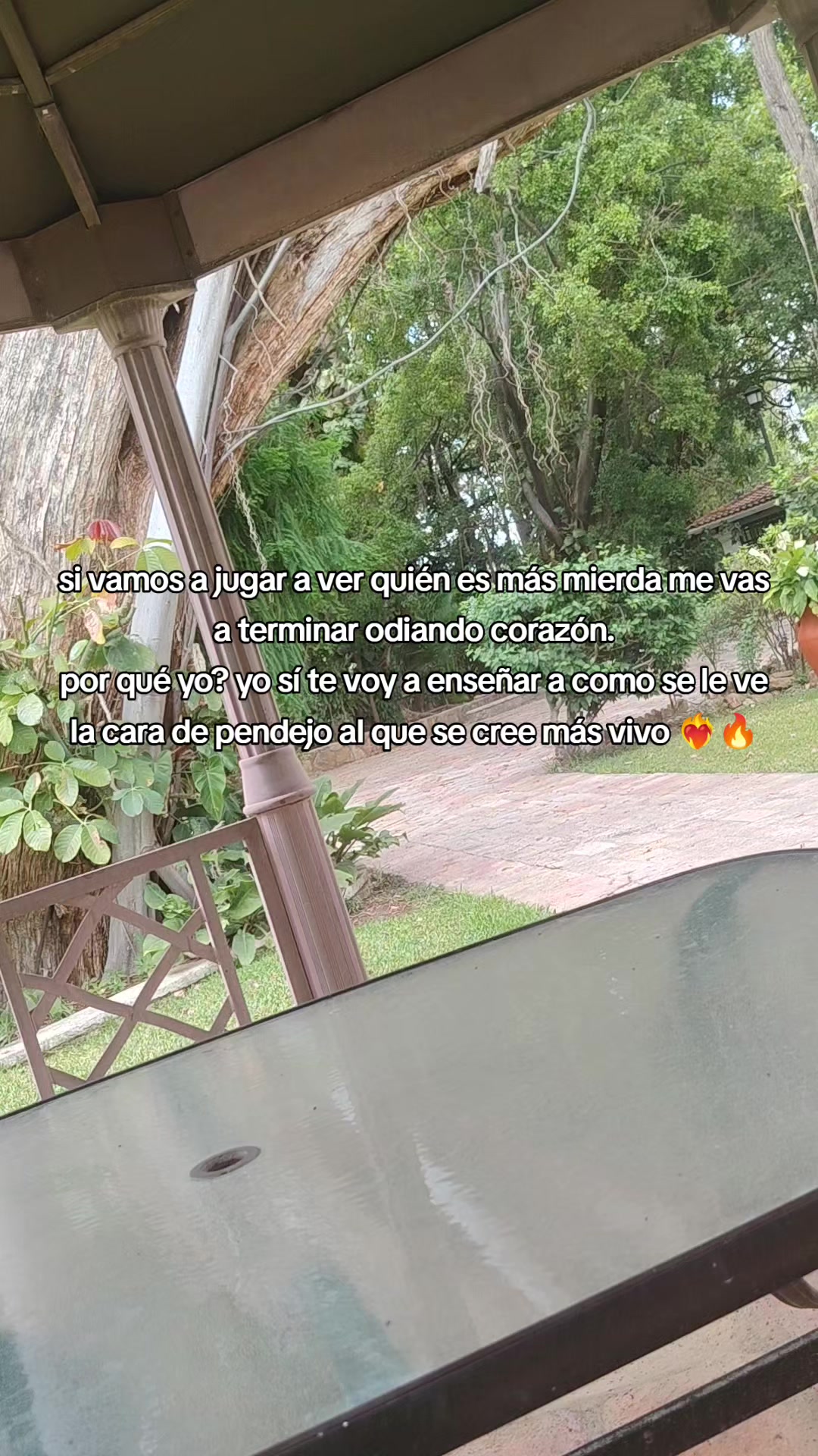 @🔥🐣team gatito🐣🔥