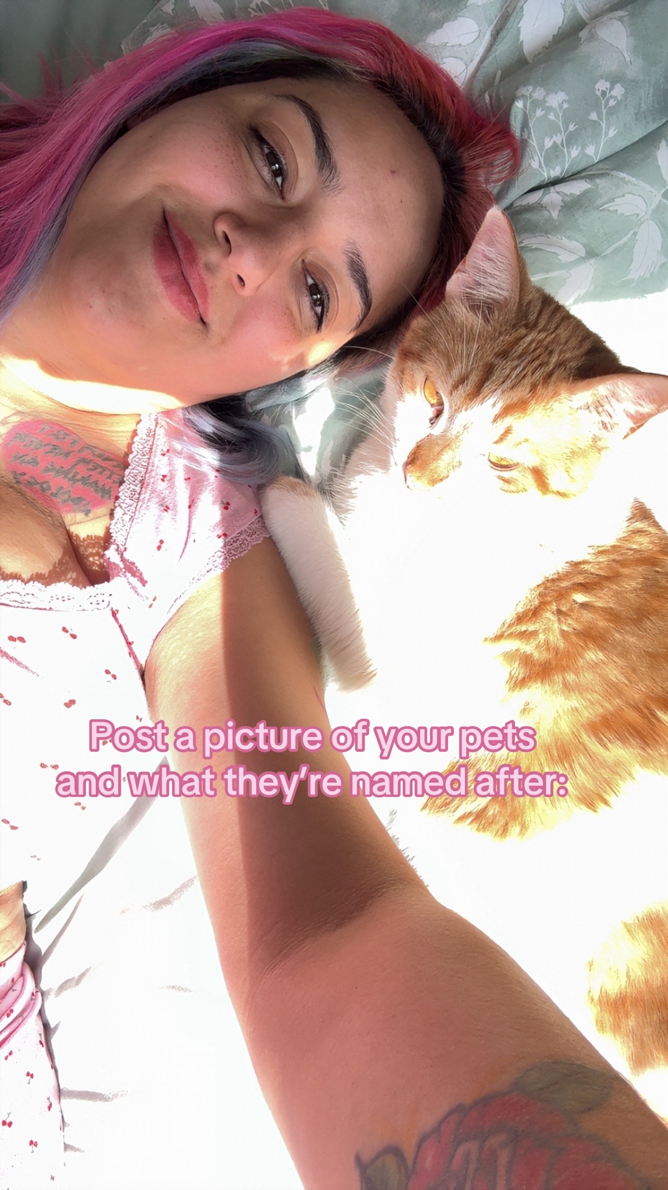 @AriTheAssassin
