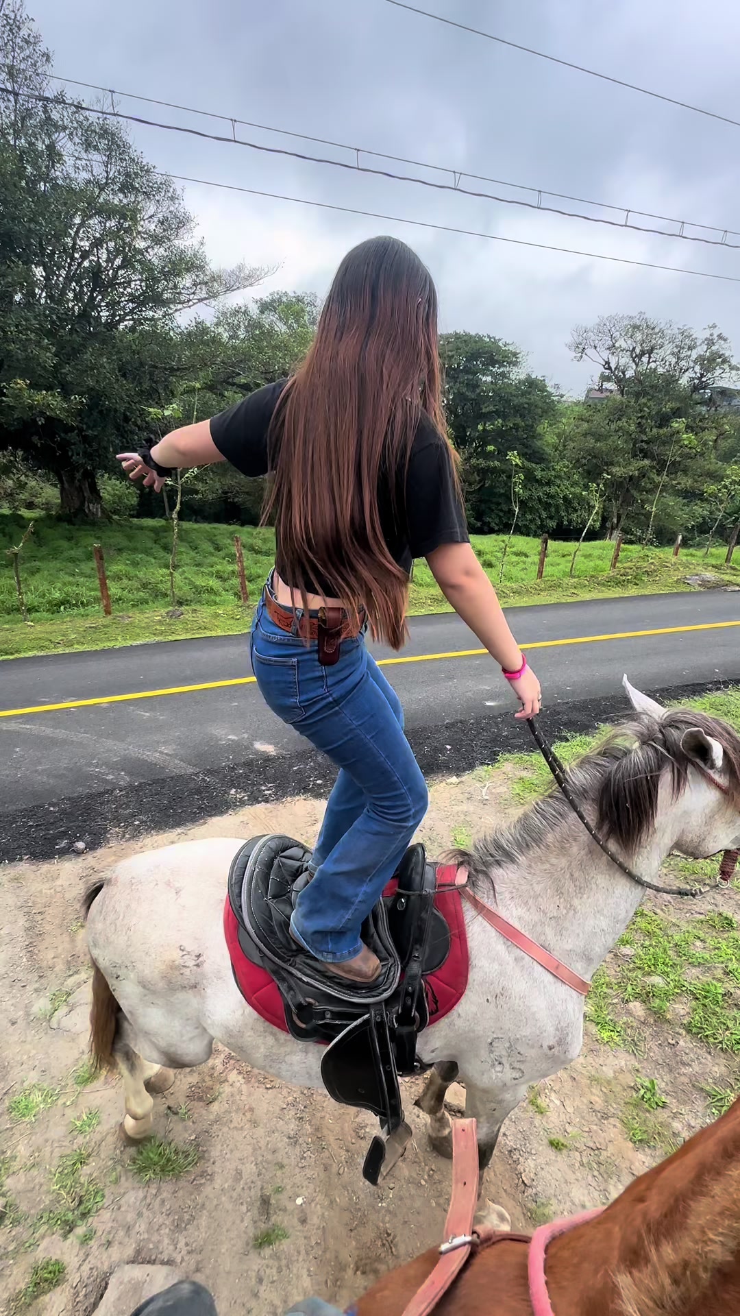 @gg_genesis