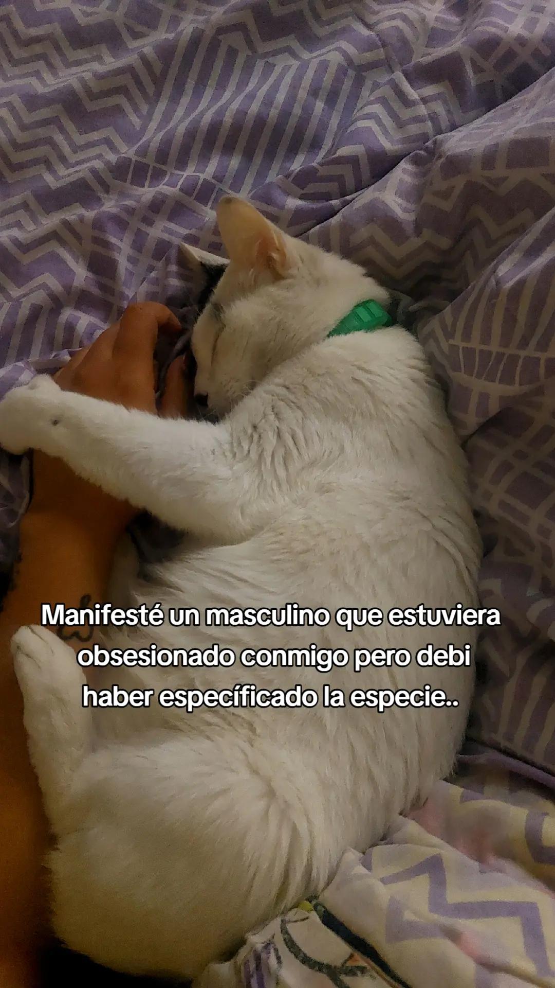 @anahii♡