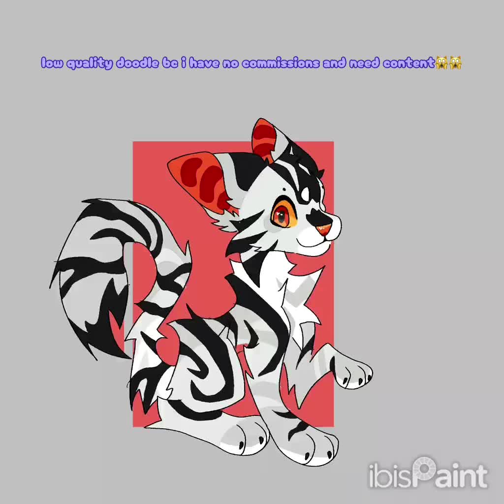 @roadkill_roryxx