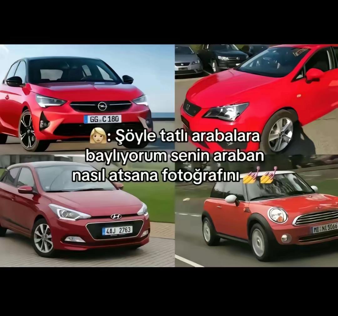 @&Ouml;zereis 🇹🇷