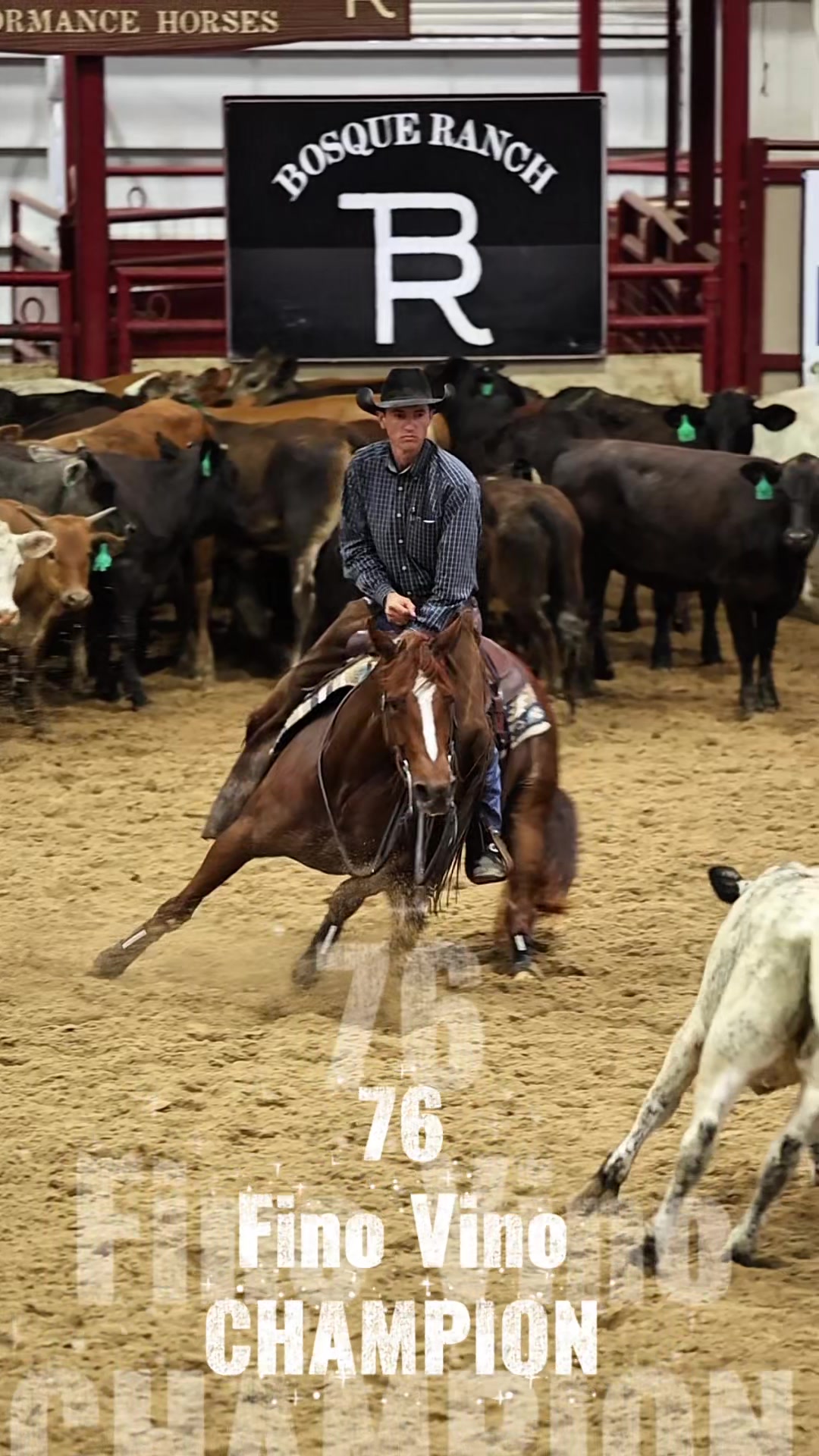 @rtabogacuttinghorses
