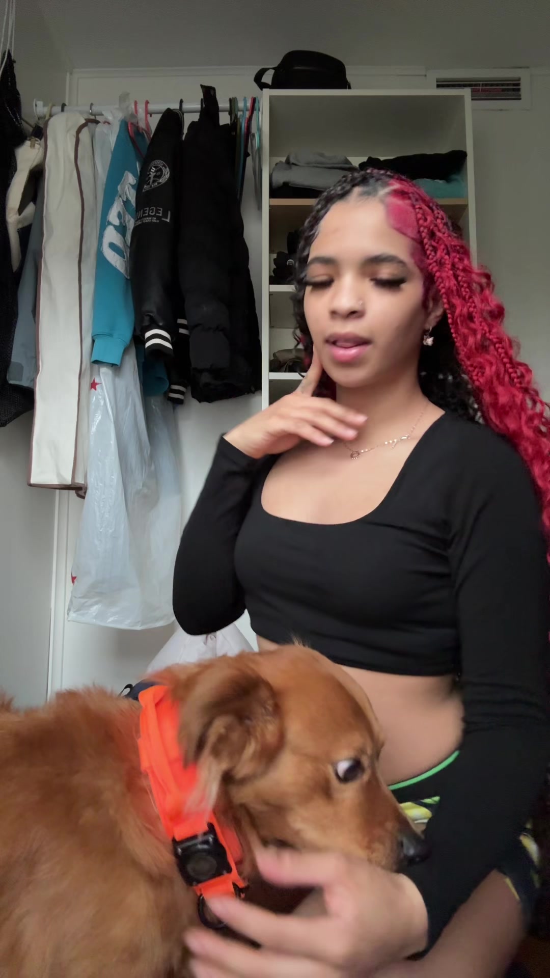 @avas.spamskii