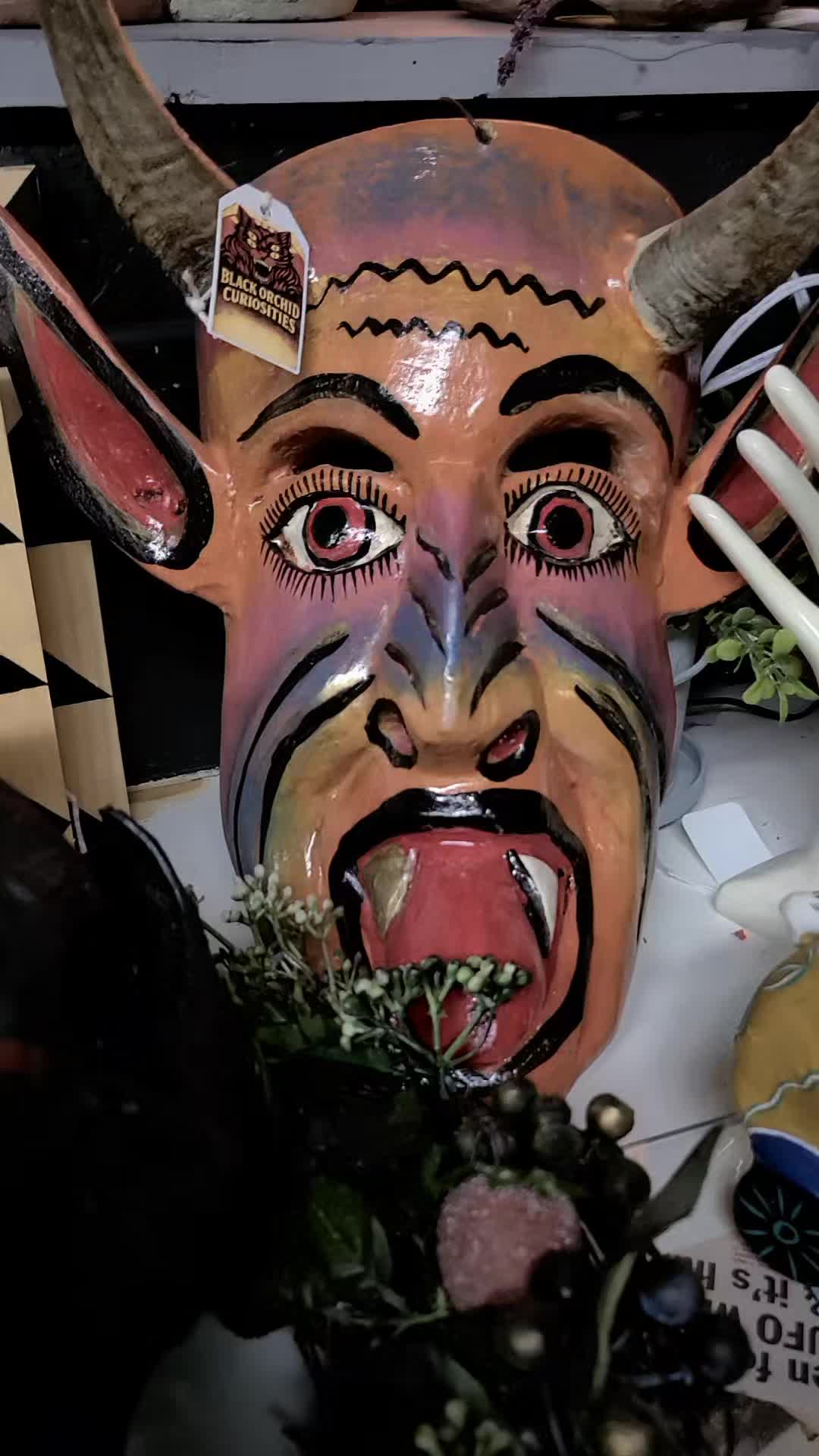 @blackorchidcuriosities