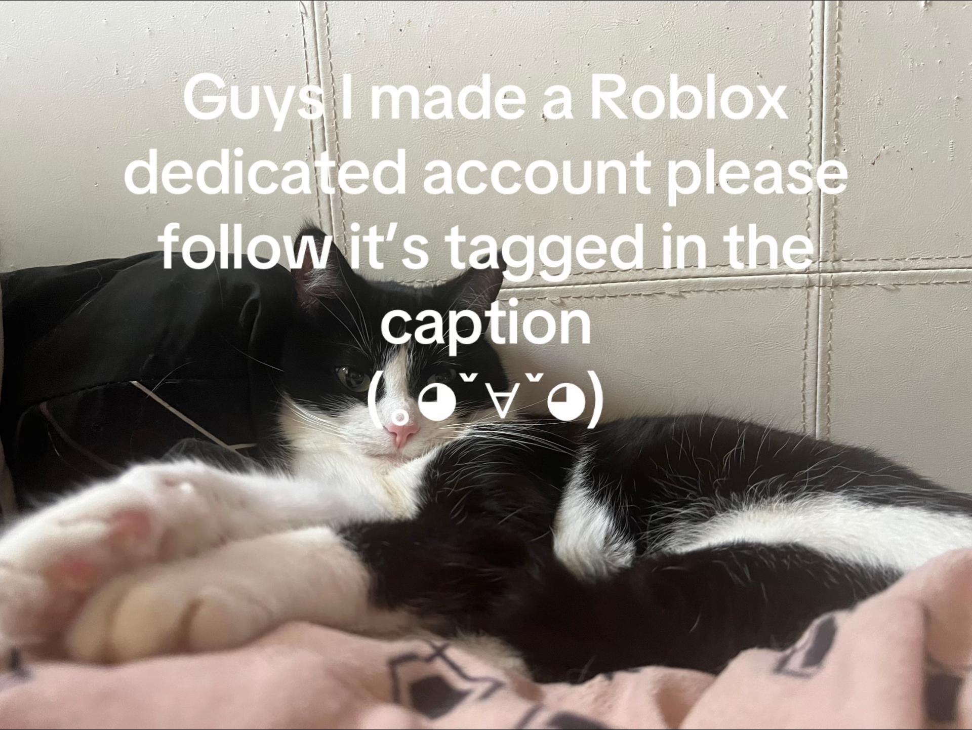 @kat