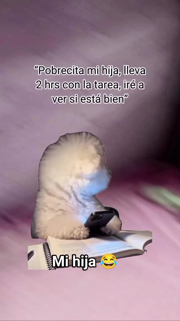 @Obi