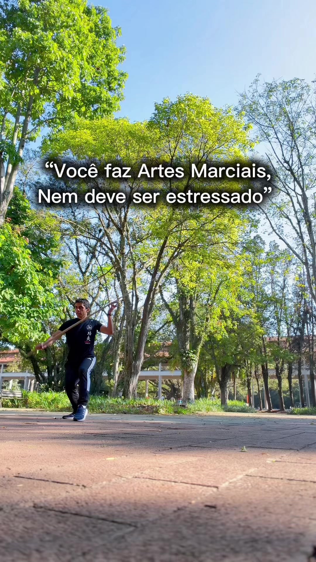 @Luiz Carlos - Wushuluiz