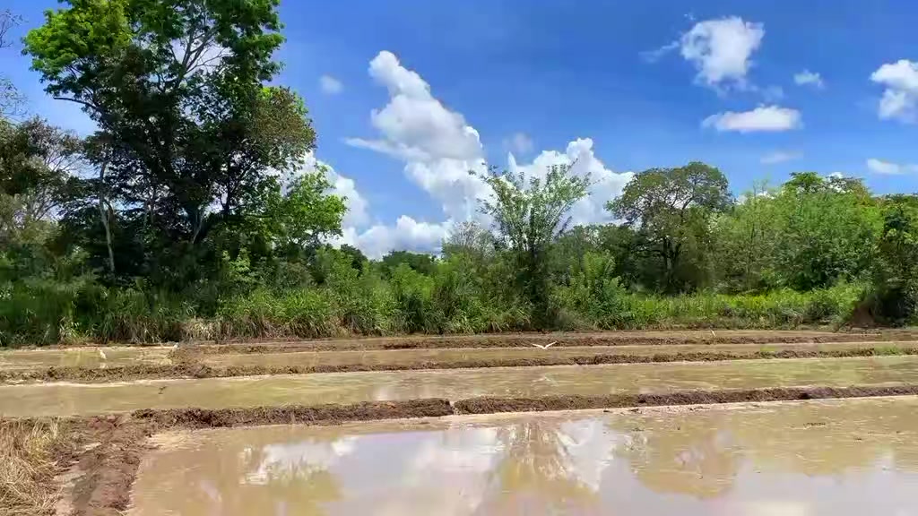 @👤🍃| 𝘃𝗶𝗵𝗮..|🍃👤