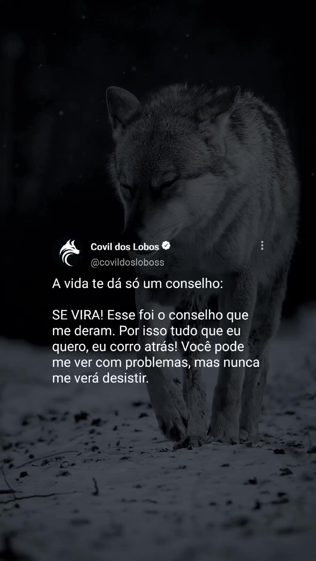 @Covil Dos Lobos