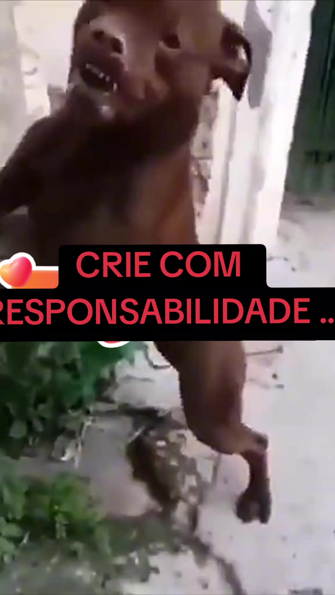 @Luis Cesar
