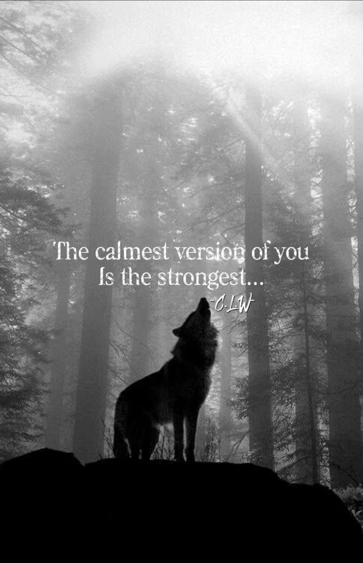 @🪬Conscious_LoneWolf🐺