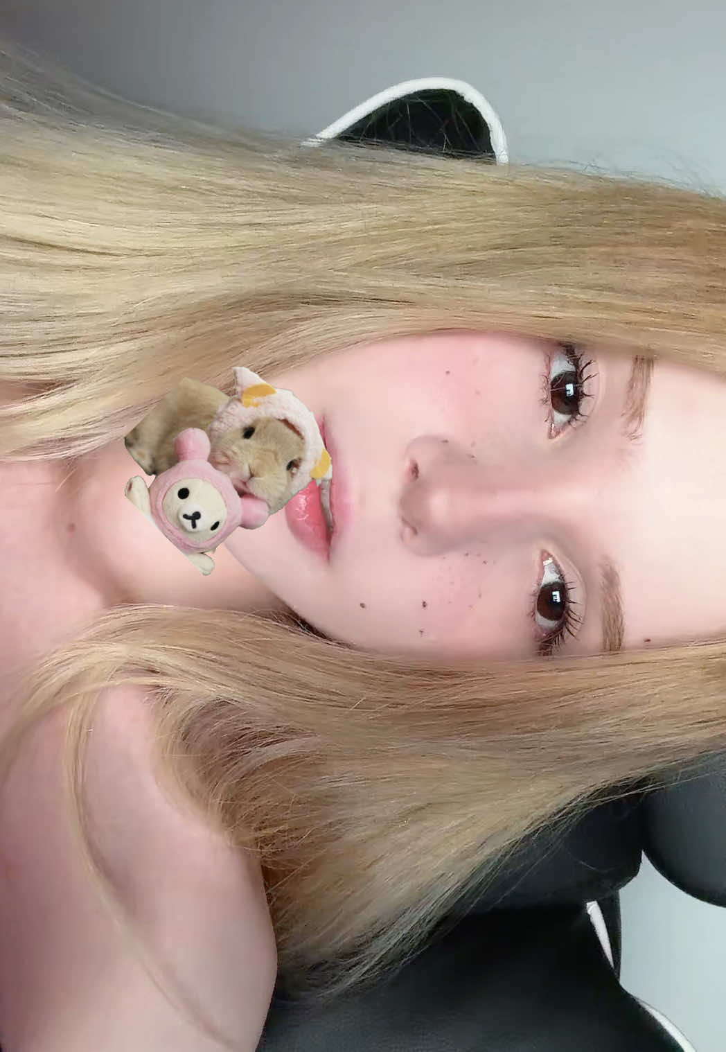 @pacrovsca