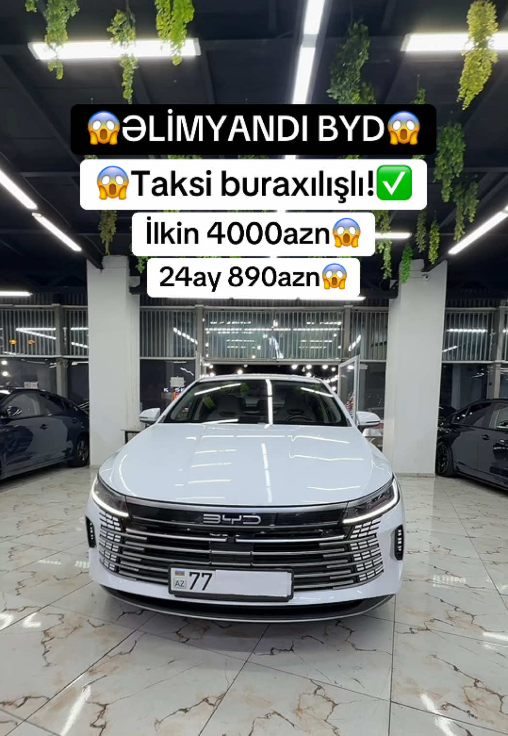 @Elim yandi auto Babek✅