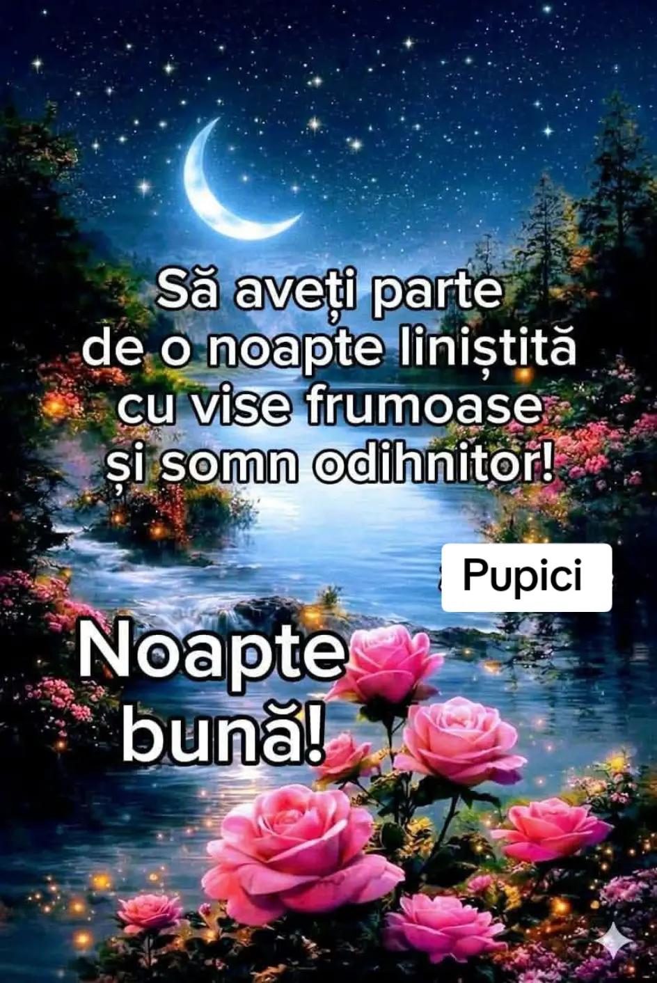 @Mihaela Liliana