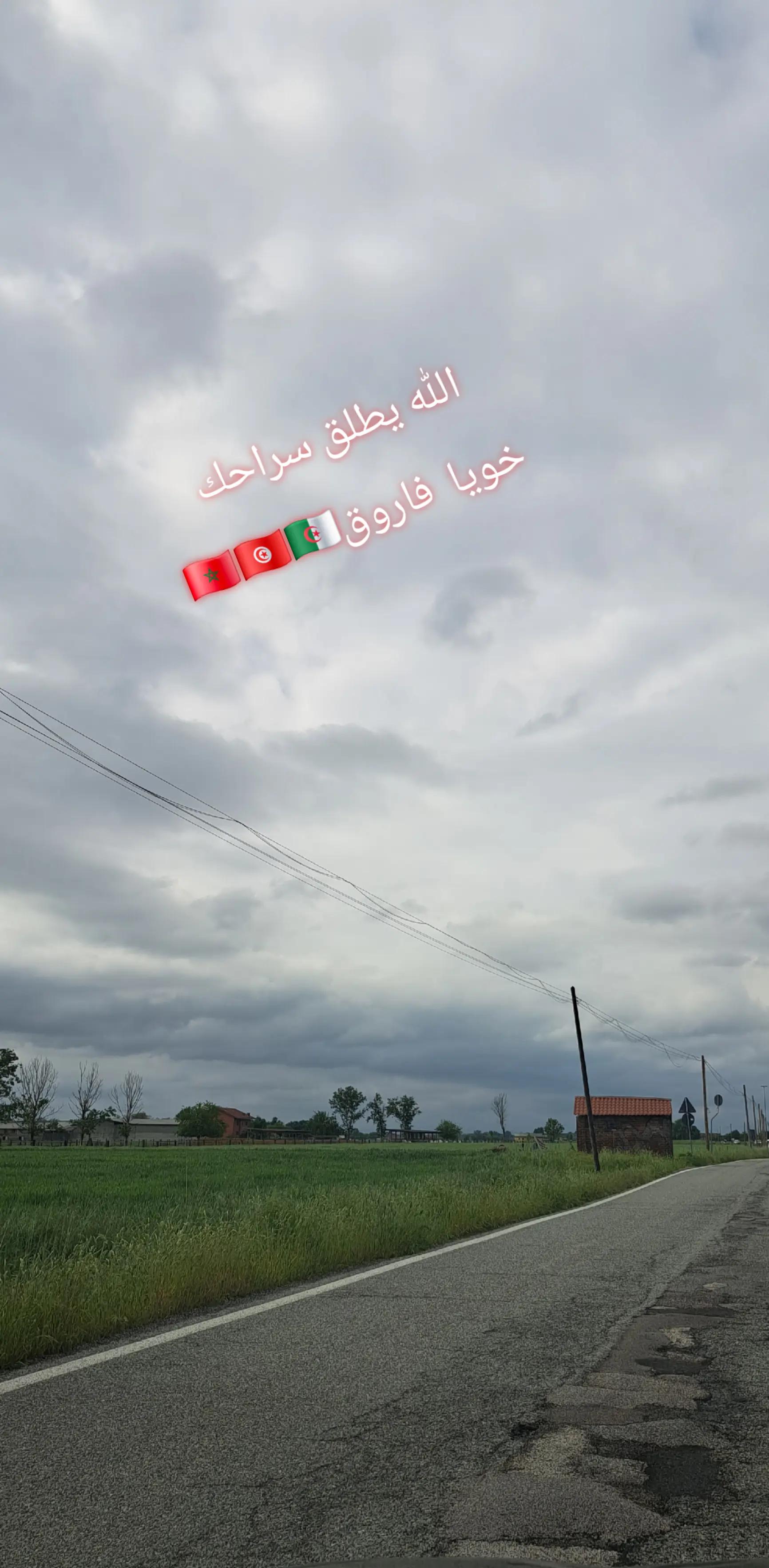 @illupo29