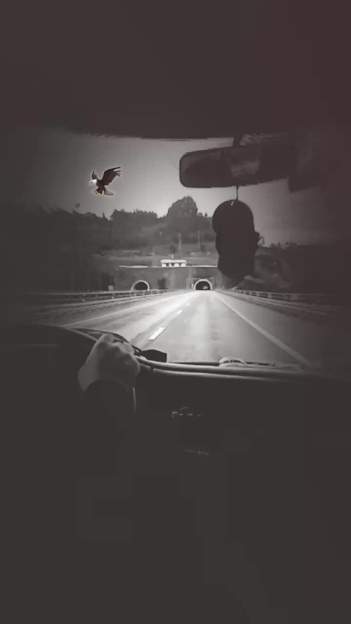 @🦅