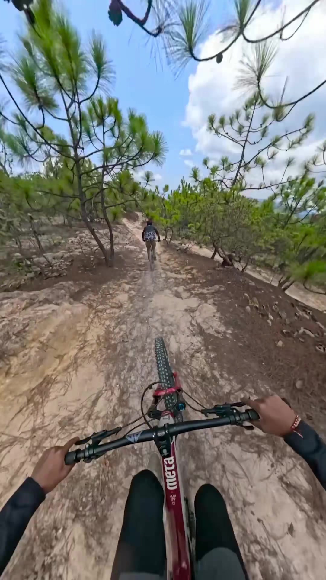 @Sebas Sotelo 🚵🏽 📽️