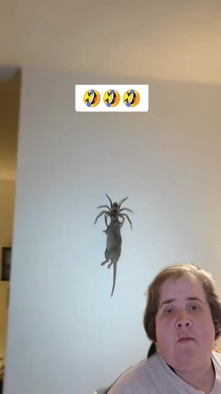 @LilLynzVibes