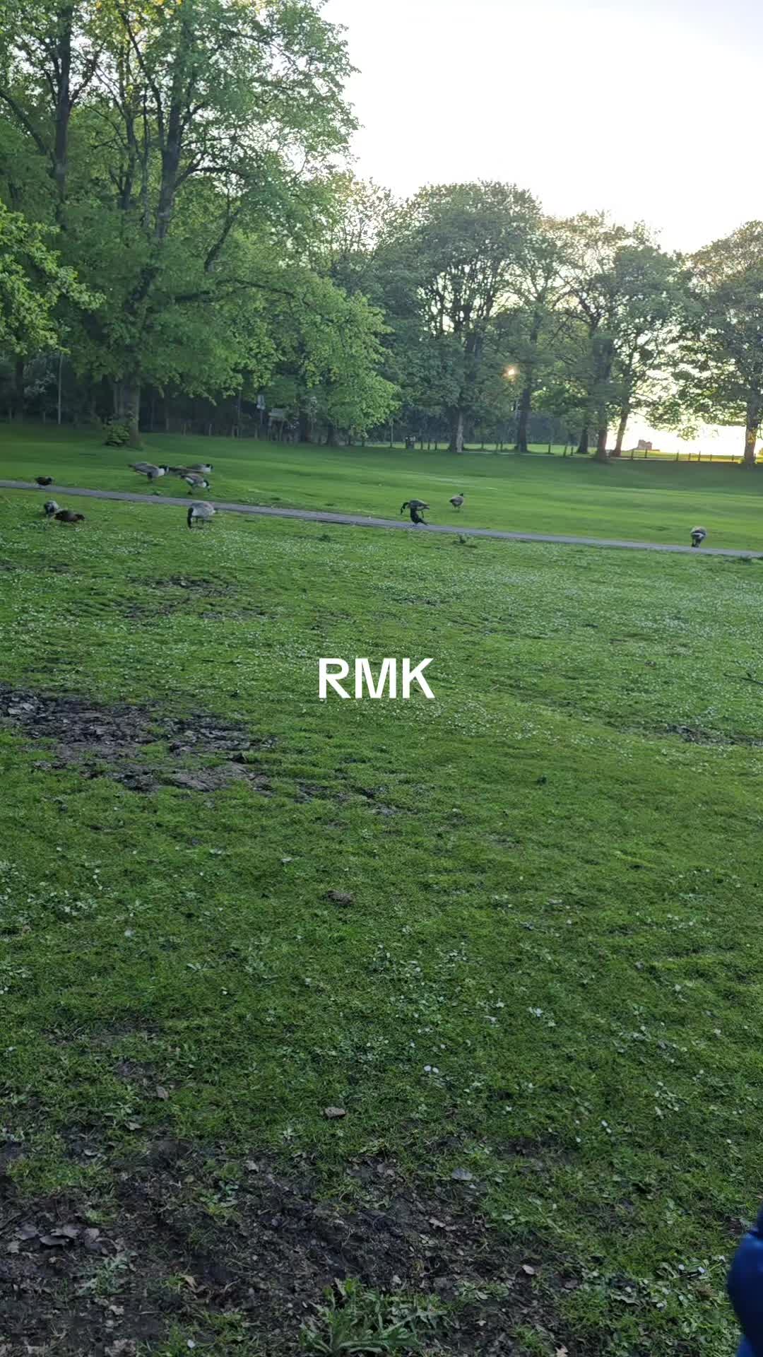 @RayaanMK🇬🇧