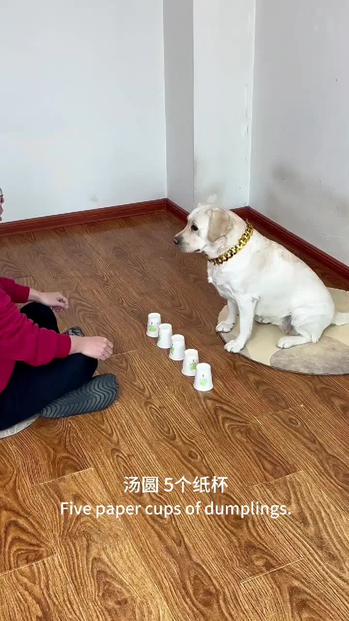 @dogadoption