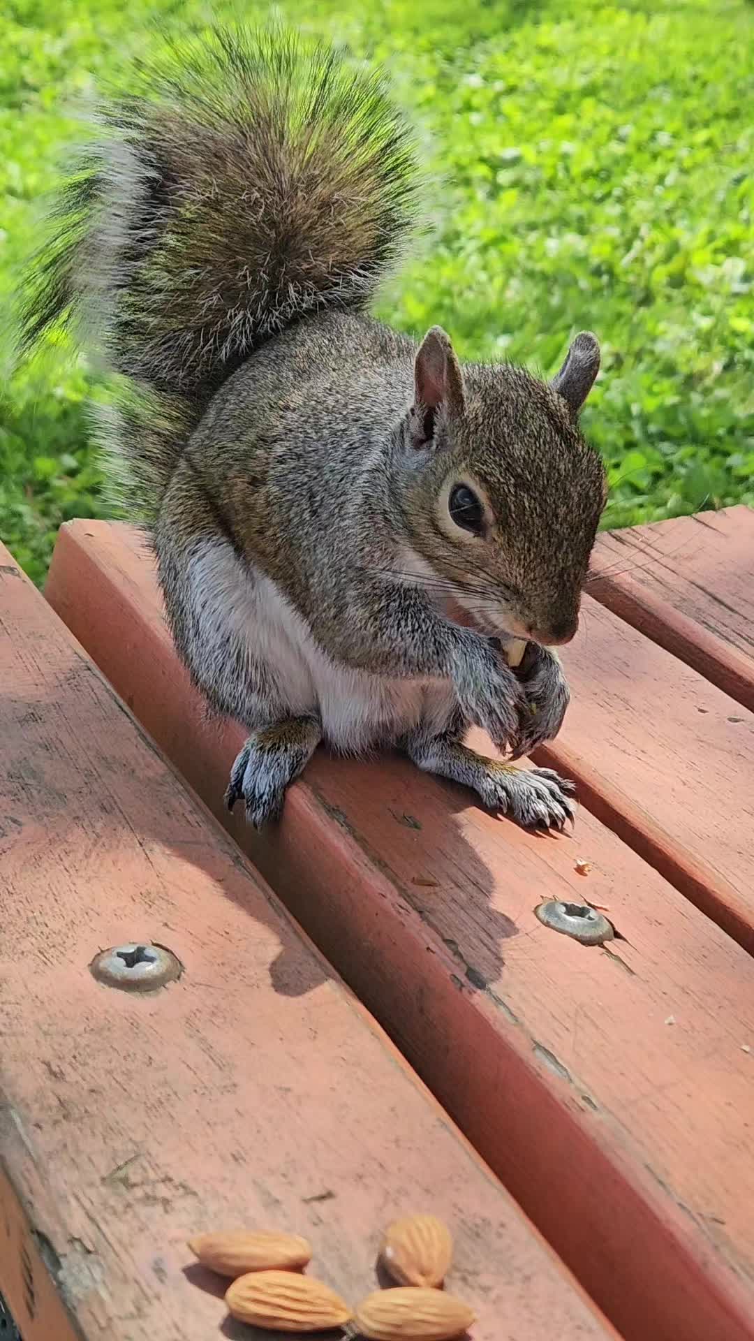 @cschultz2