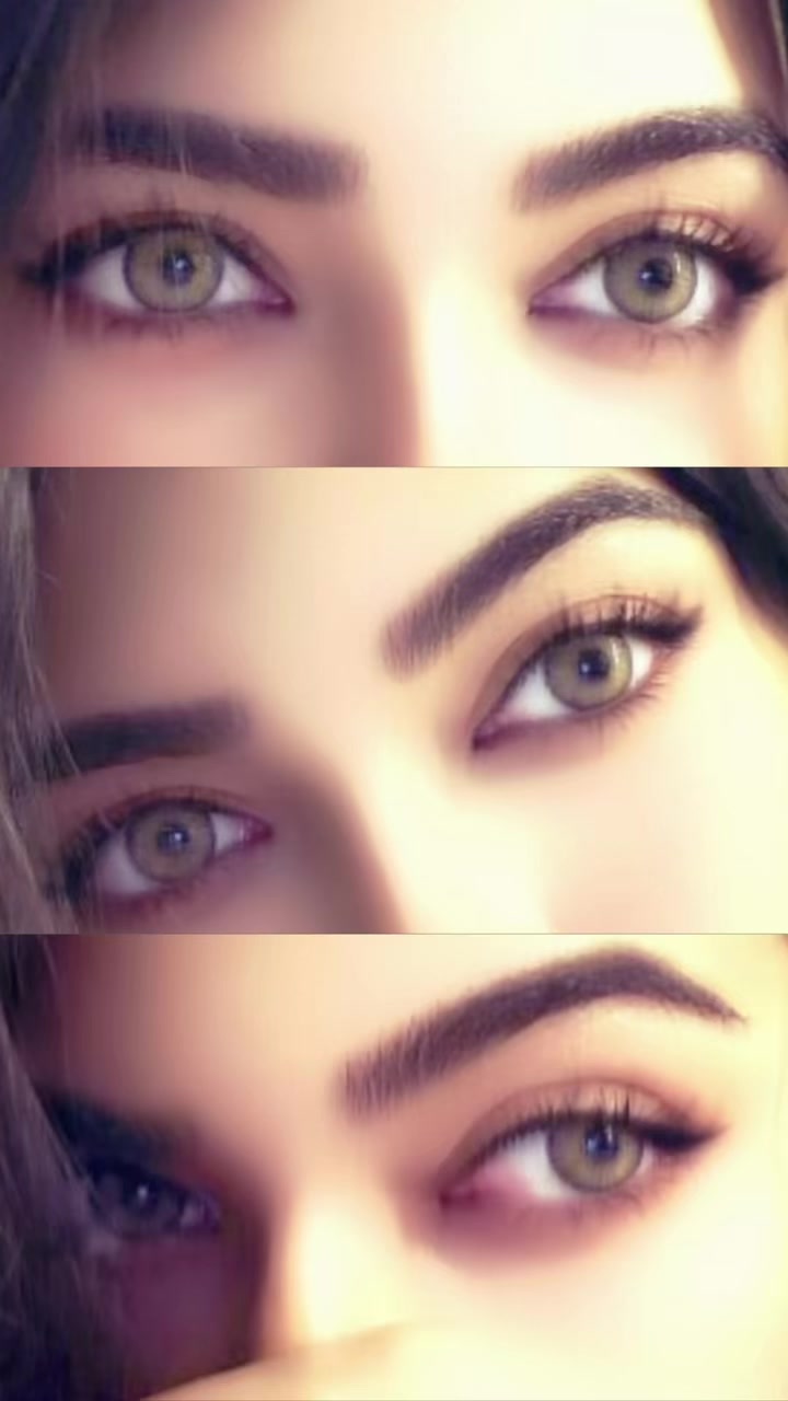 @🕊️