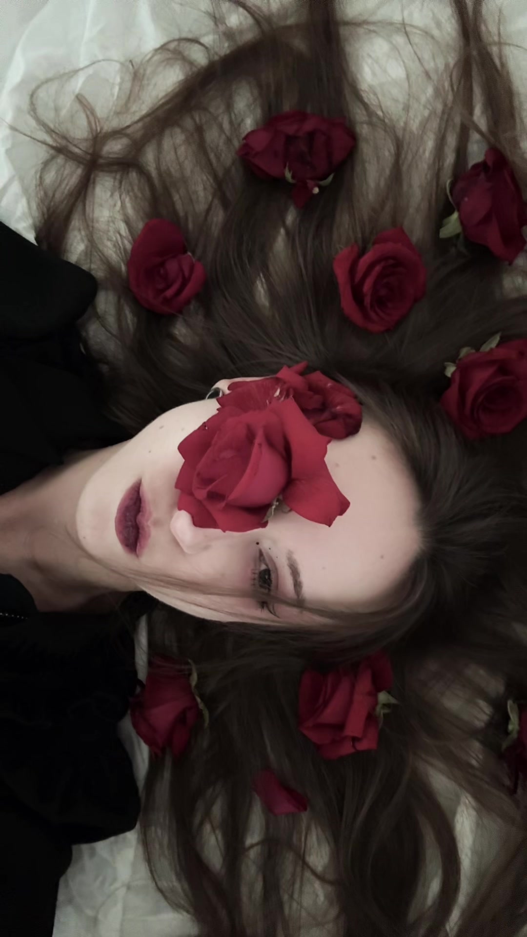 @𝒱𝒾𝑜𝓁𝑒𝓉𝓉 𝒲𝑜𝑜𝒹🥀