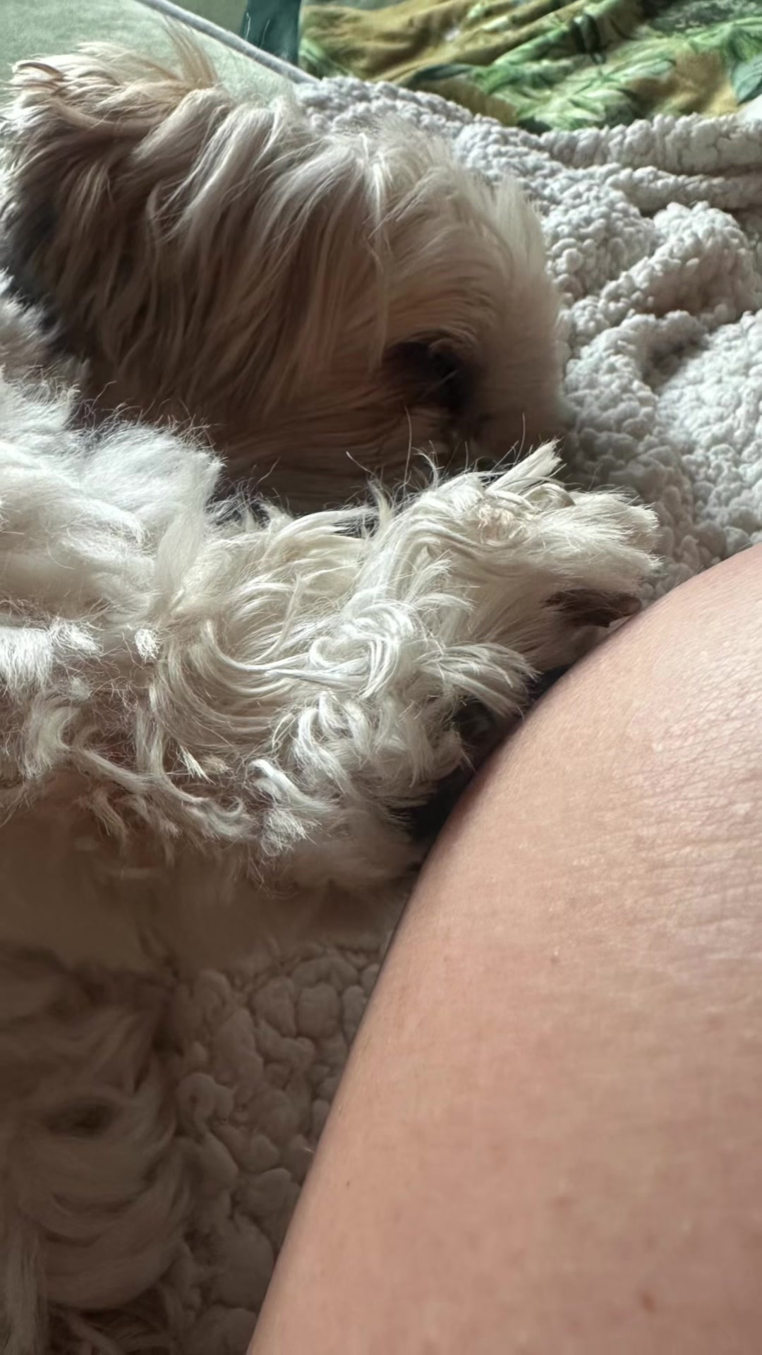 @🐾💕 Bessie Boo 💕🐾