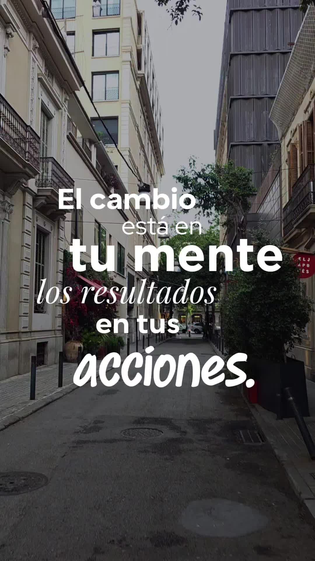 @David Quintanilla Lino
