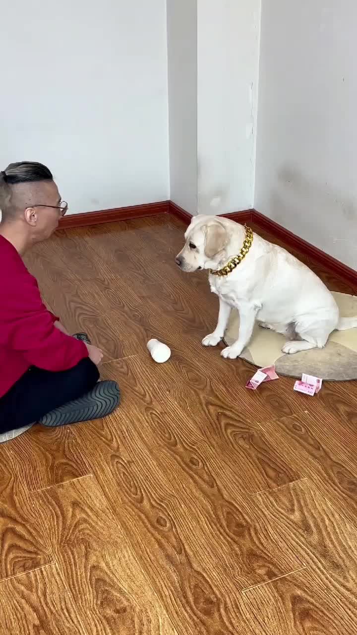 @dogadoption