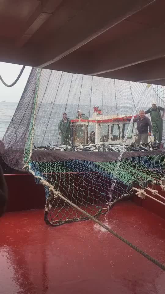 @🚢h&agrave;m&igrave;d&oslash;⚓⚡R&aelig;ys&euml;🐬🏴&zwj;☠️